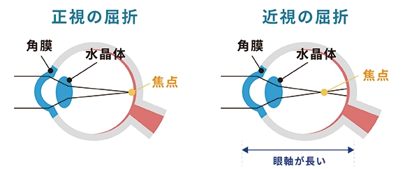 qkg4gsmpmvuo9ip98xh2xykqjnox-_s6.jpg qkg4gsmpmvuo9ip98xh2xykqjnox-_s6.jpg