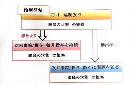 当院での治療スケジュール