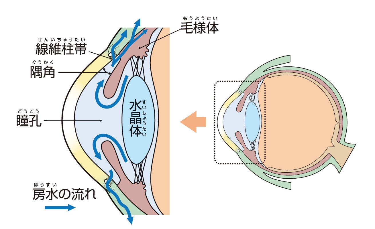 眼圧が高い状態